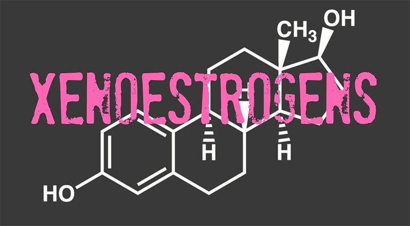 Photo of XenoEstrogens molecular chain diagram